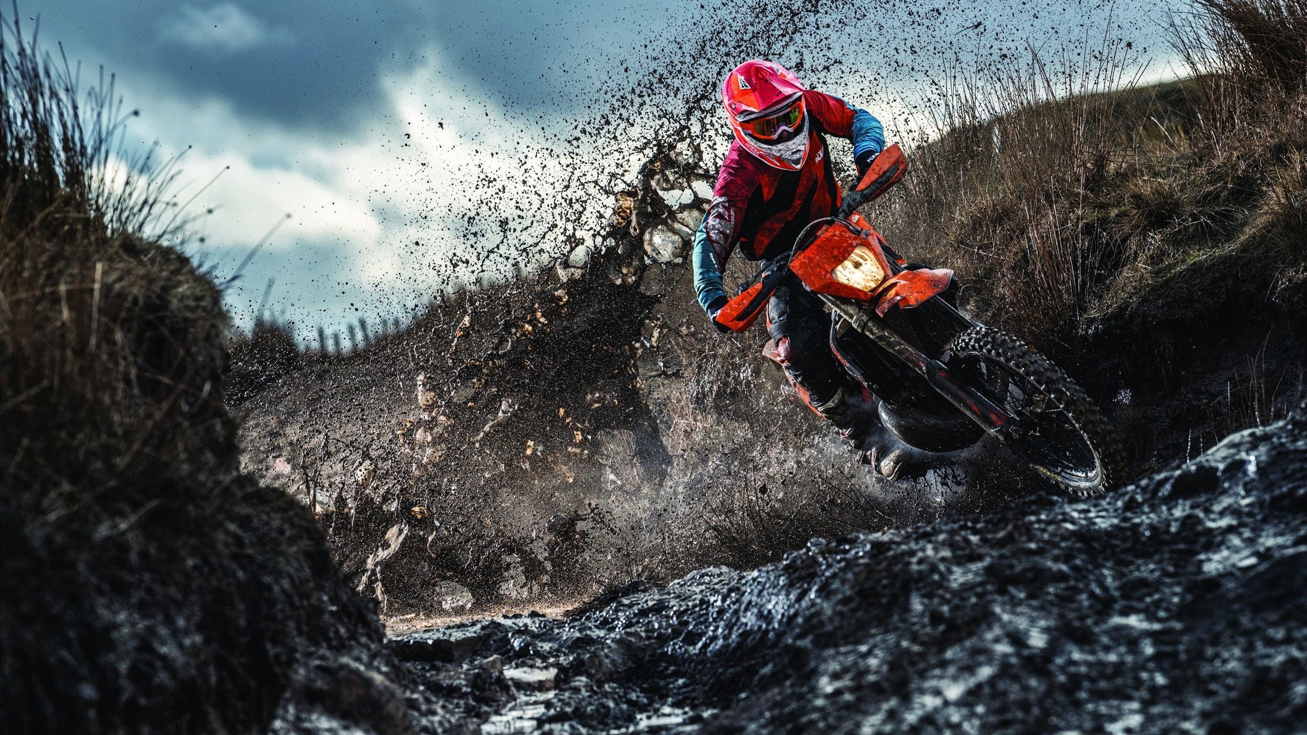 冬季运动知识竞赛普及冰雪项目常识，冬季冰雪体育项目